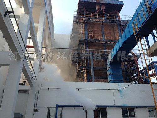 新乐远大生物科技40吨锅炉除尘设备施工现场5